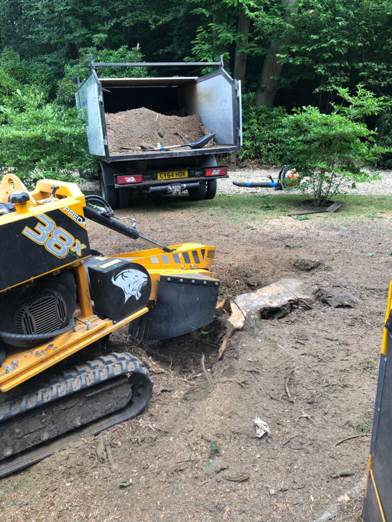 Stump Grinding Project in Thatcham by Foxes Tree Services